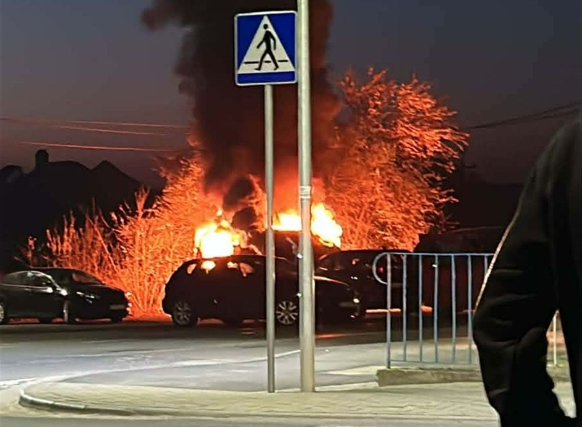 Podpalił śmietnik i auta. Policja na tropie piromana Podpalił śmietnik i auta. Policja na tropie piromana
