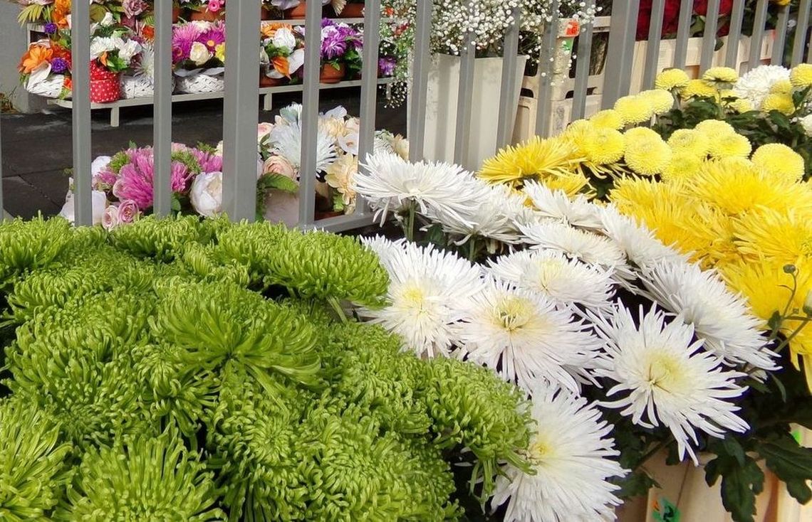 Podziękowanie rodziny za pomoc w poszukiwaniach zaginionej