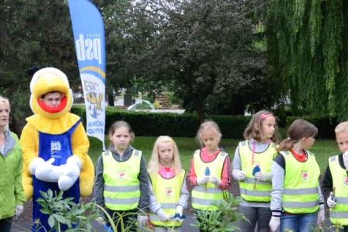 Podziwiajmy kwiaty posadzone przez dzieci Podziwiajmy kwiaty posadzone przez dzieci