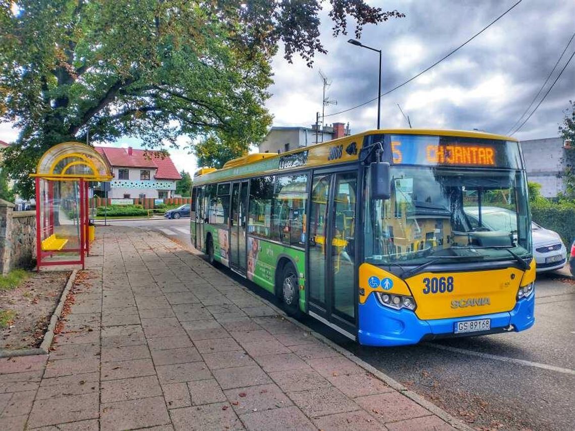 Pójdą spać we wsi, a obudzą się w mieście. Lista nowych miast na mapie Polski