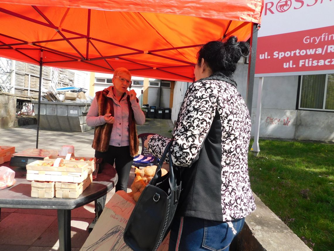 Pokazały się pierwsze truskawki