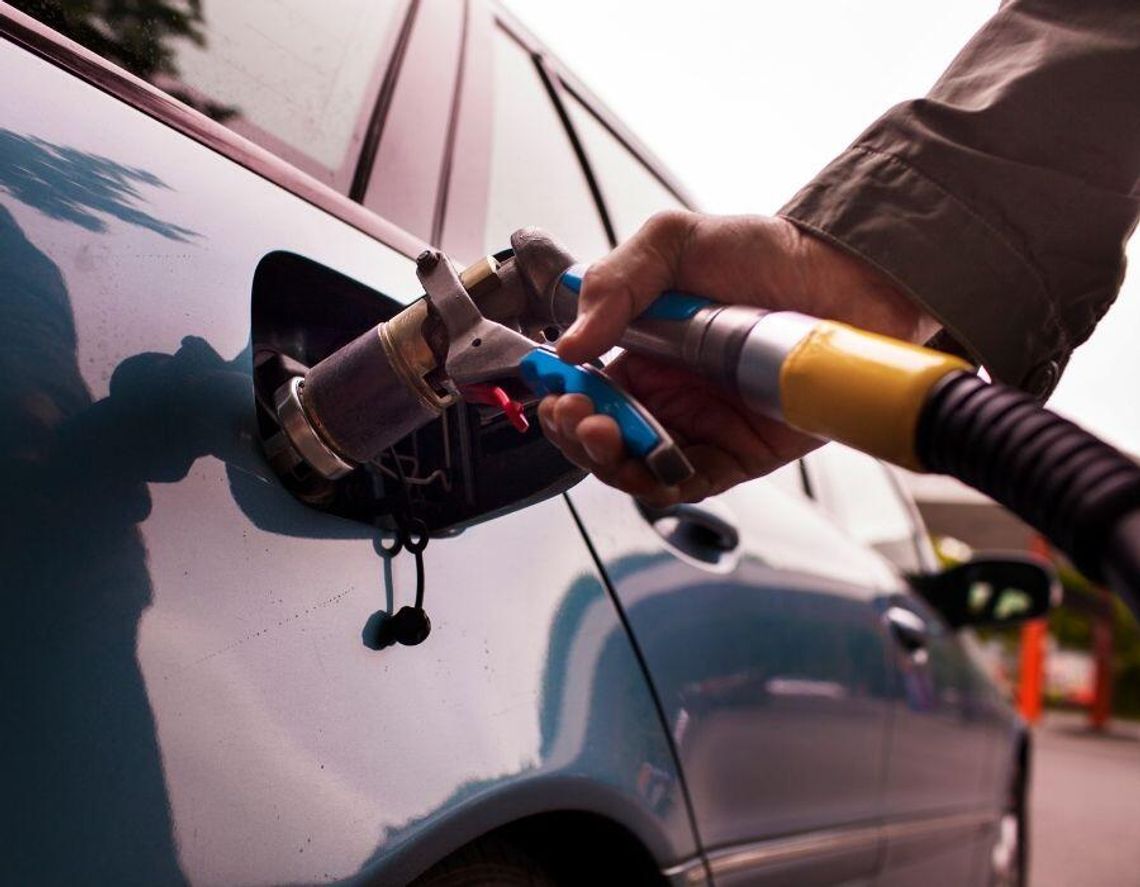 Tanie LPG wygrywa z elektrykami. Polacy masowo szukają oszczędności na rynku wtórnym Tanie LPG wygrywa z elektrykami. Polacy masowo szukają oszczędności na rynku wtórnym