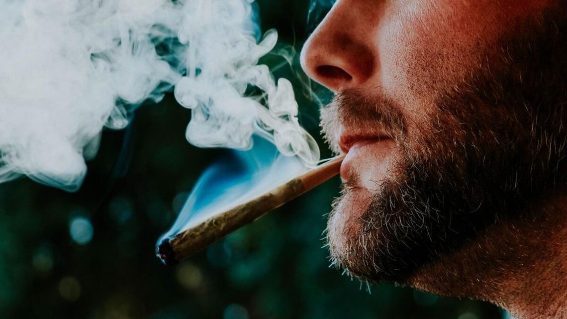 Marihuana medyczna ograniczona, a coraz bardziej popularna. „Zioło” o smaku czekolady, czy cytrusa