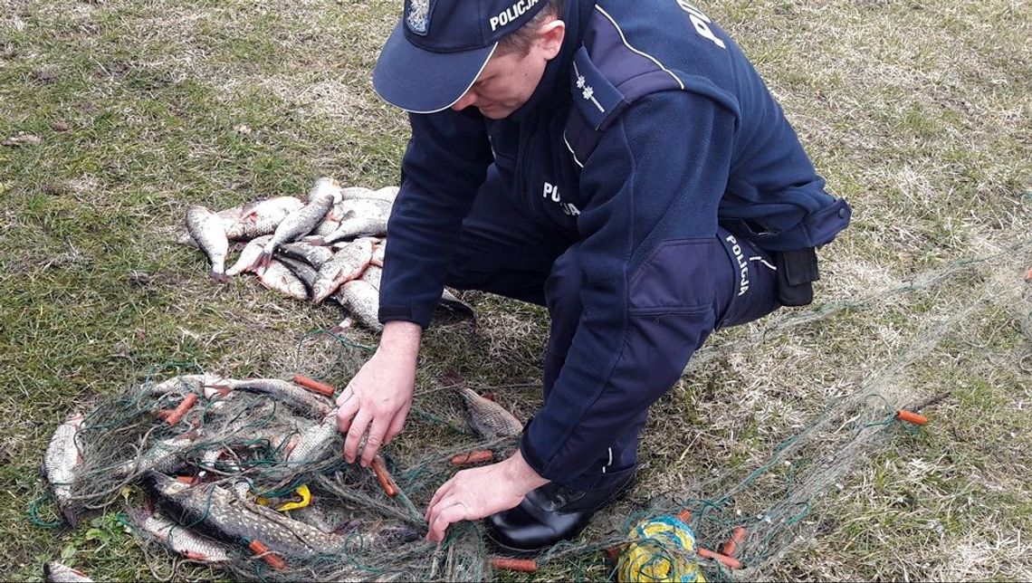 Policja będzie łapać kłusowników Policja będzie łapać kłusowników