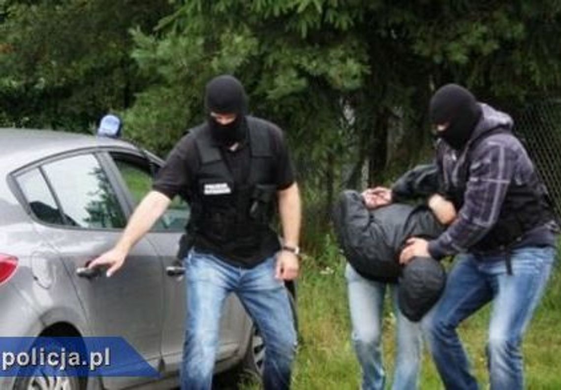 Policjanci wykrywają narkotyki Policjanci wykrywają narkotyki