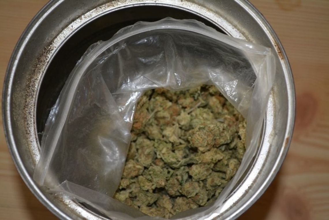 Policjanci znaleźli u niego 77 gram marihuany. Grozi mu teraz 10 lat więzienia