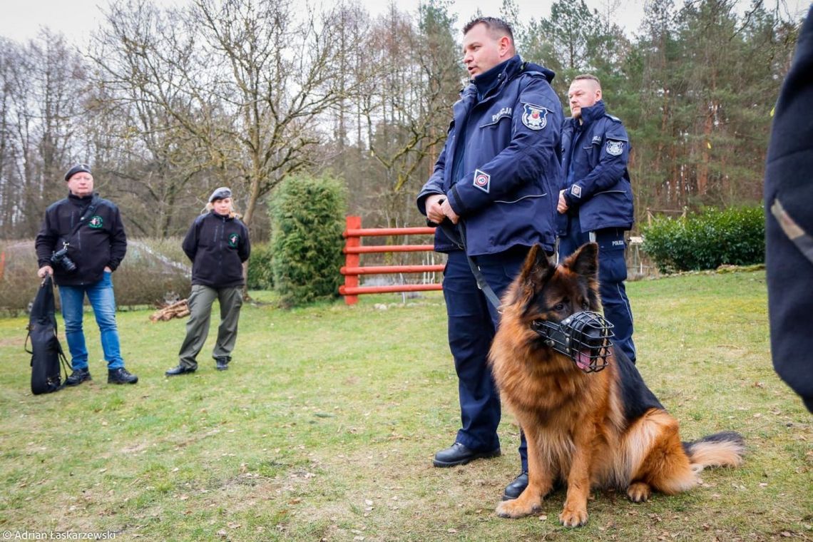 Policyjny pies odnalazł ciężarną, która miała myśli samobójcze