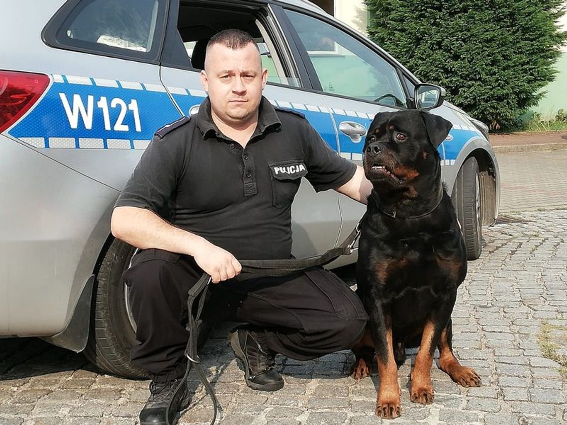 Policyjny pies odnalazł zaginionego Policyjny pies odnalazł zaginionego