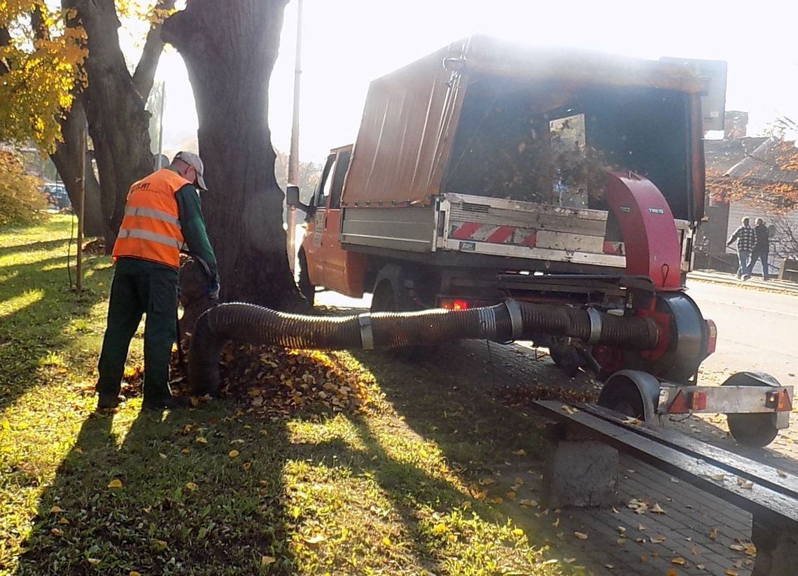 Pomaga im specjalny odkurzacz Pomaga im specjalny odkurzacz