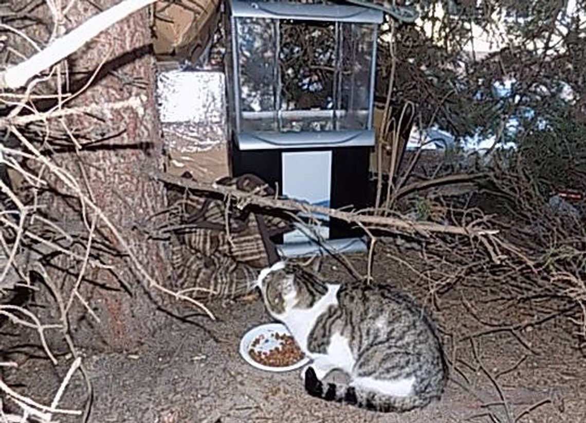 Pomagaj, ale nie bałagań Pomagaj, ale nie bałagań
