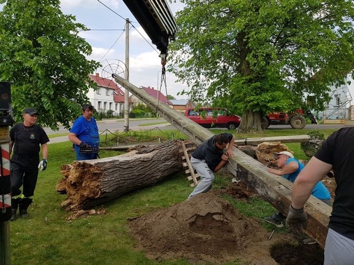Pomogli w odbudowie zniszczonego bocianiego gniazda [ZDJĘCIA]