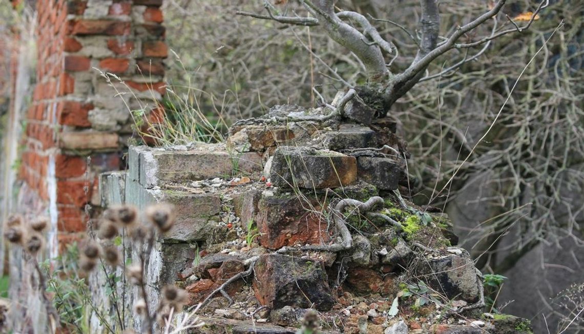 Ponad 2 mln zł z Programu Regionalnego na zabytki Ponad 2 mln zł z Programu Regionalnego na zabytki