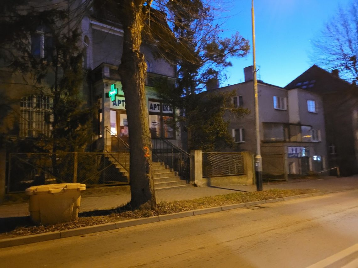 Betonoza postępuje? Los ponumerowanych drzew w rękach urzędników Betonoza postępuje? Los ponumerowanych drzew w rękach urzędników