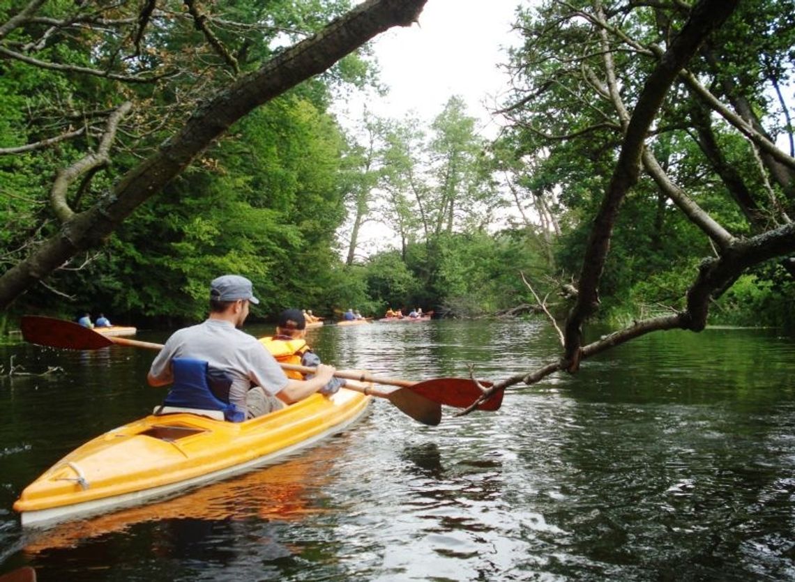 Popłyniemy kajakiem, dojedziemy rowerem, a nawet nowoczesnym autobusem do Szczecina Popłyniemy kajakiem, dojedziemy rowerem, a nawet nowoczesnym autobusem do Szczecina