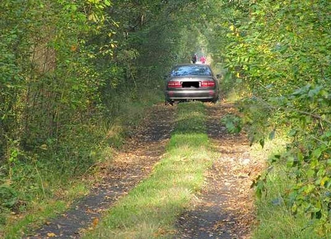 Poszedł na grzyby i pozbył się samochodu Poszedł na grzyby i pozbył się samochodu