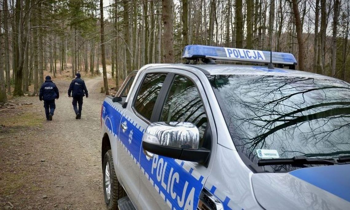 Poszedł na grzyby i zagryzły go psy. Właścicielem mieszańców jest były policjant Poszedł na grzyby i zagryzły go psy. Właścicielem mieszańców jest były policjant