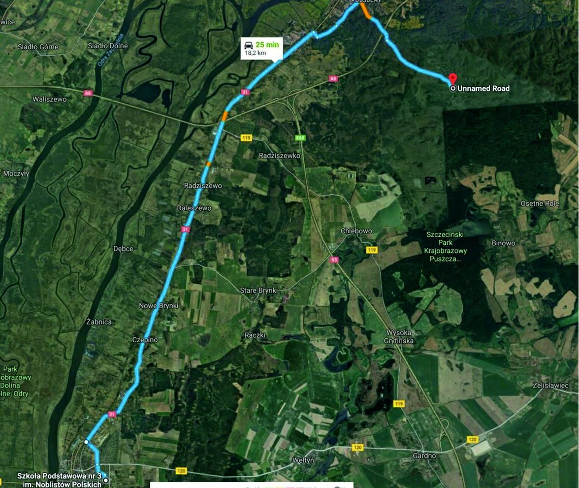 Poszli do lasu sadzić drzewa Poszli do lasu sadzić drzewa