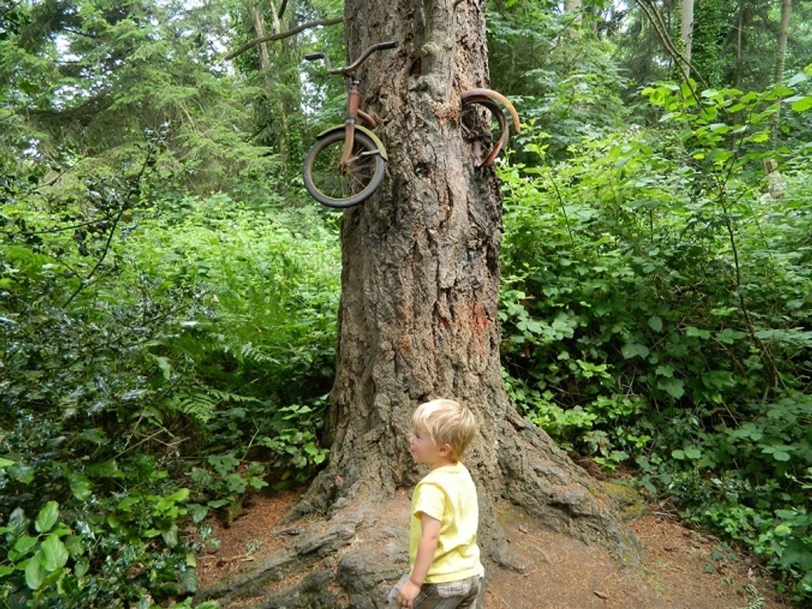 Poszukiwanie dziewczynki w lesie