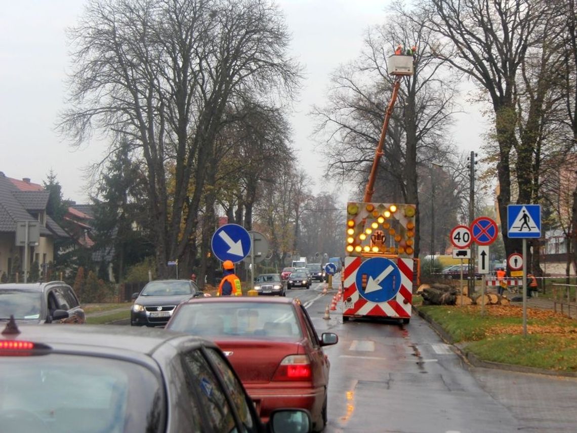 Potężne drzewa padają. Korki na Łużyckiej się tworzą. Potężne drzewa padają. Korki na Łużyckiej się tworzą.