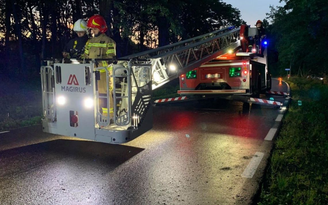 Powiało i trzeba było usuwać drzewa. Akcje strażaków