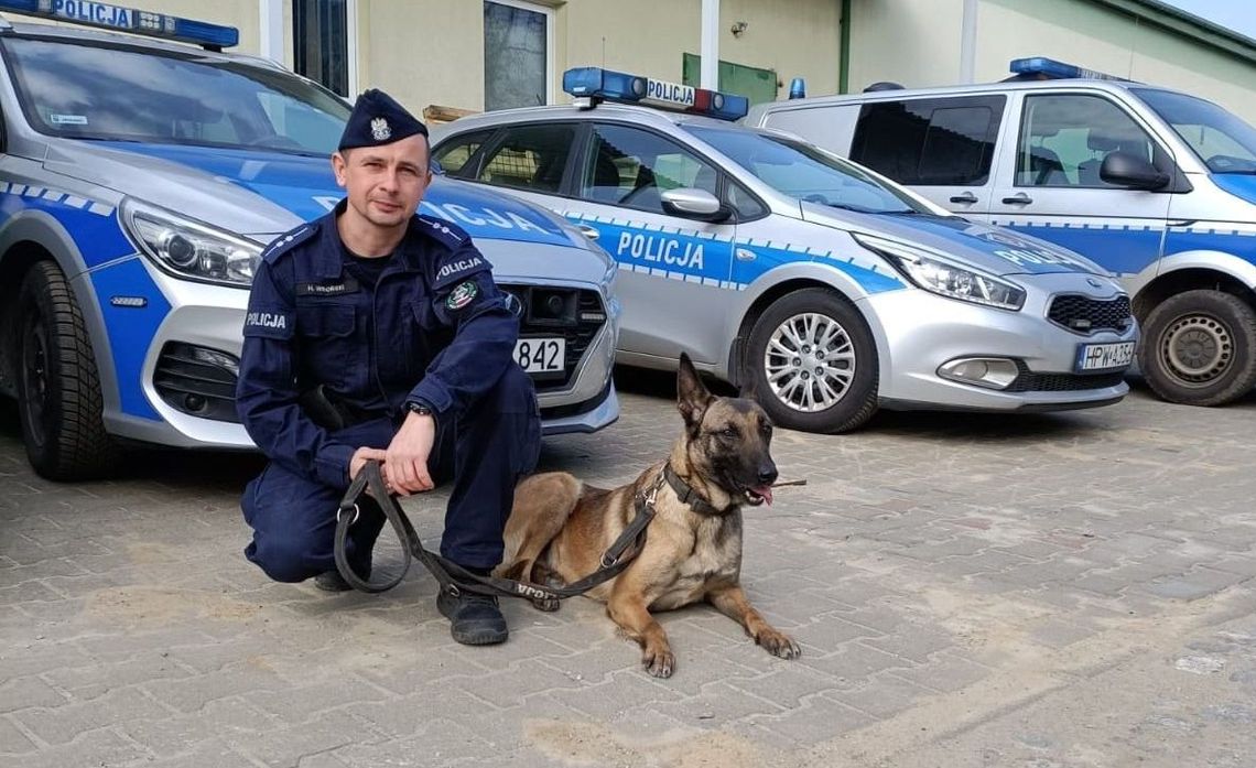 Powiedział że popełni samobójstwo. Nastolatka znalazł pies Powiedział że popełni samobójstwo. Nastolatka znalazł pies