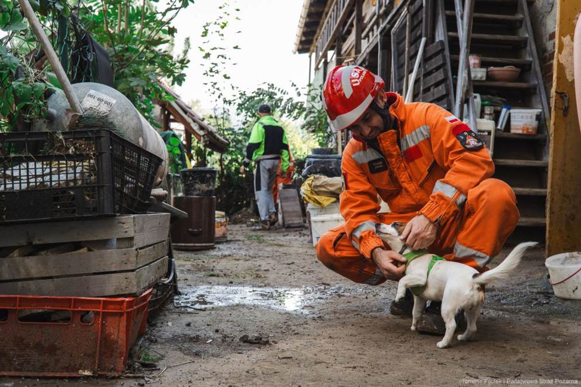 Czy powódź wpłynie na ceny w sklepach w całej Polsce? To się okaże
