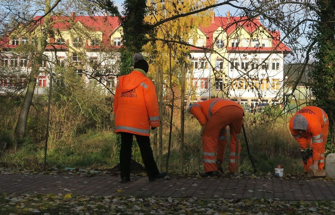 Powołano zespół ds. reformy oświaty w gminie