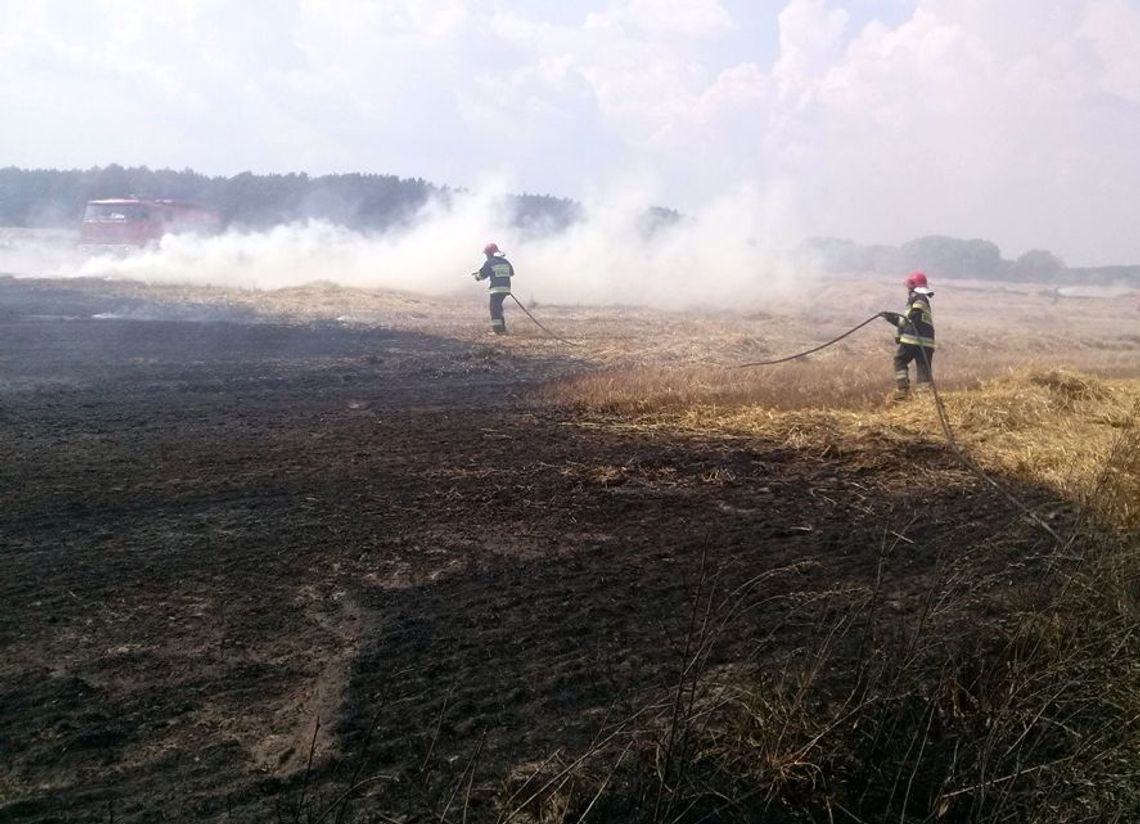 Pożar na polu pomiędzy dwiema gminami