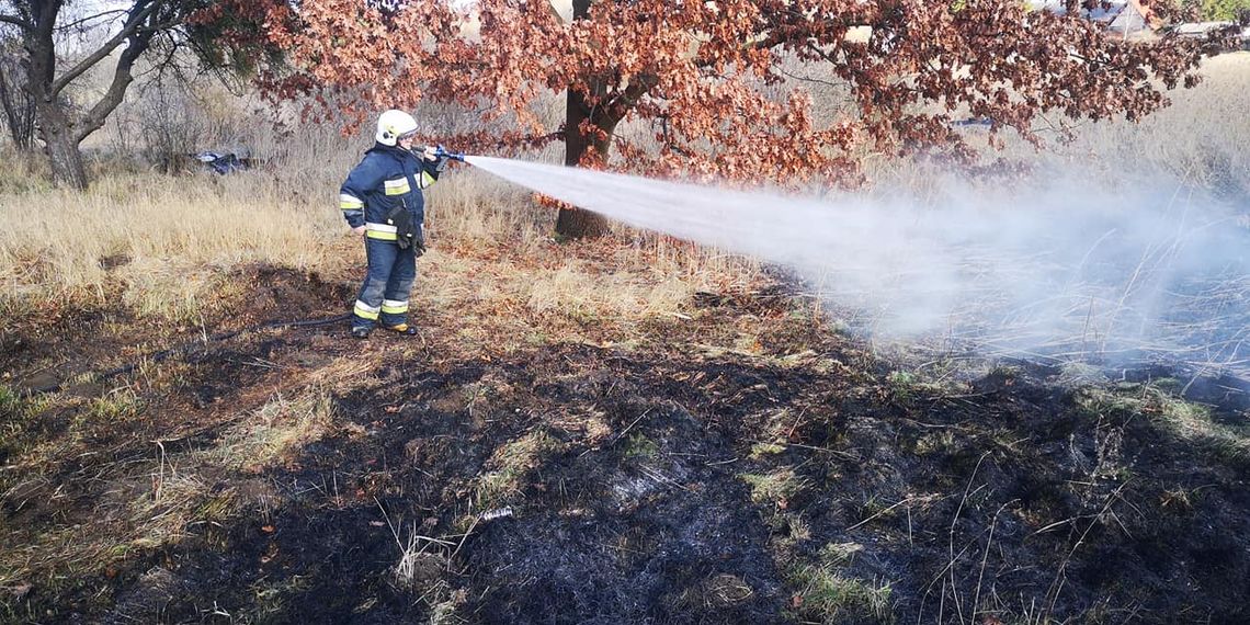 Pożar trawy to katastrofa
