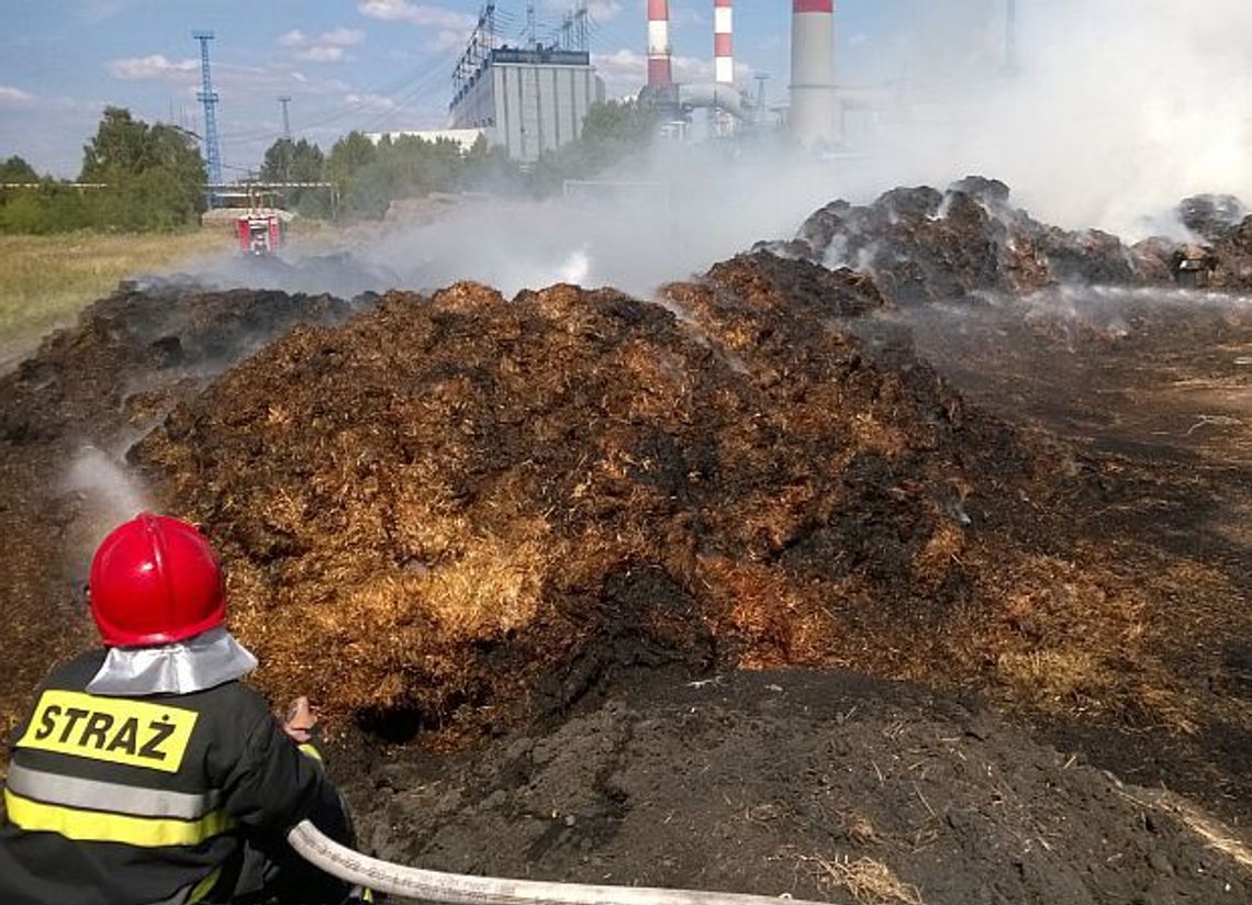 Pożar w Dolnej Odrze Pożar w Dolnej Odrze
