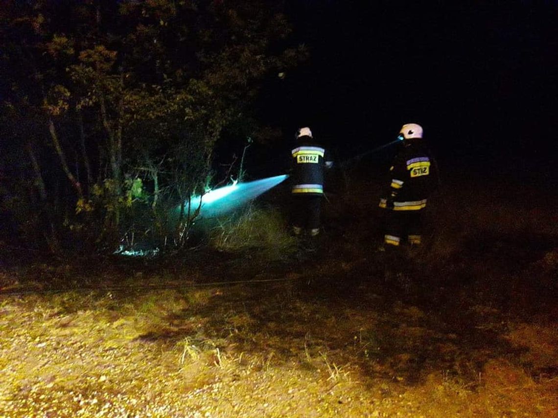 Pożar wybuchł w pobliżu zabudowań