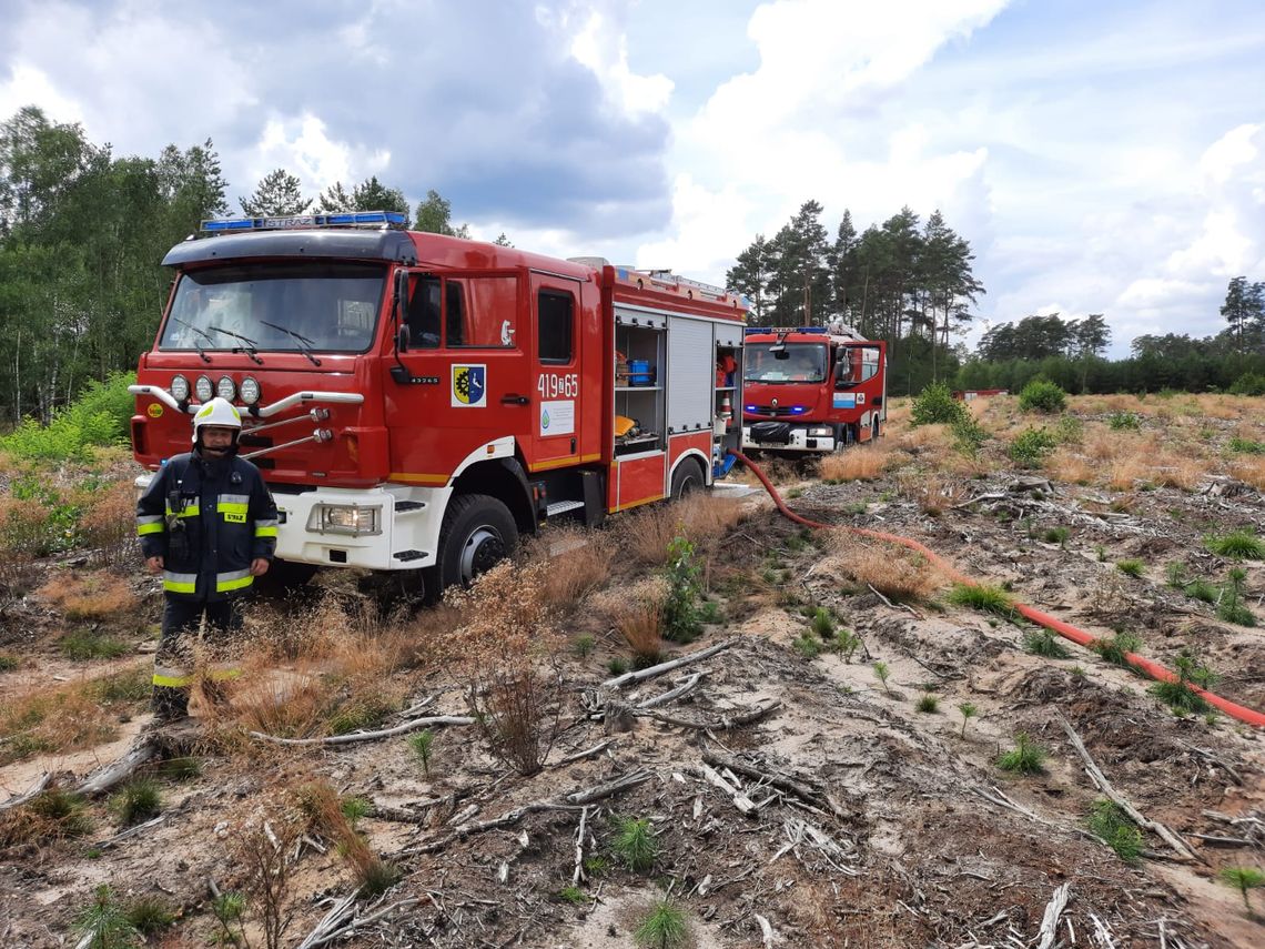 Pożar za pożarem, bo podpalaczy w powiecie nie brakuje. Nie powinniśmy się na to godzić