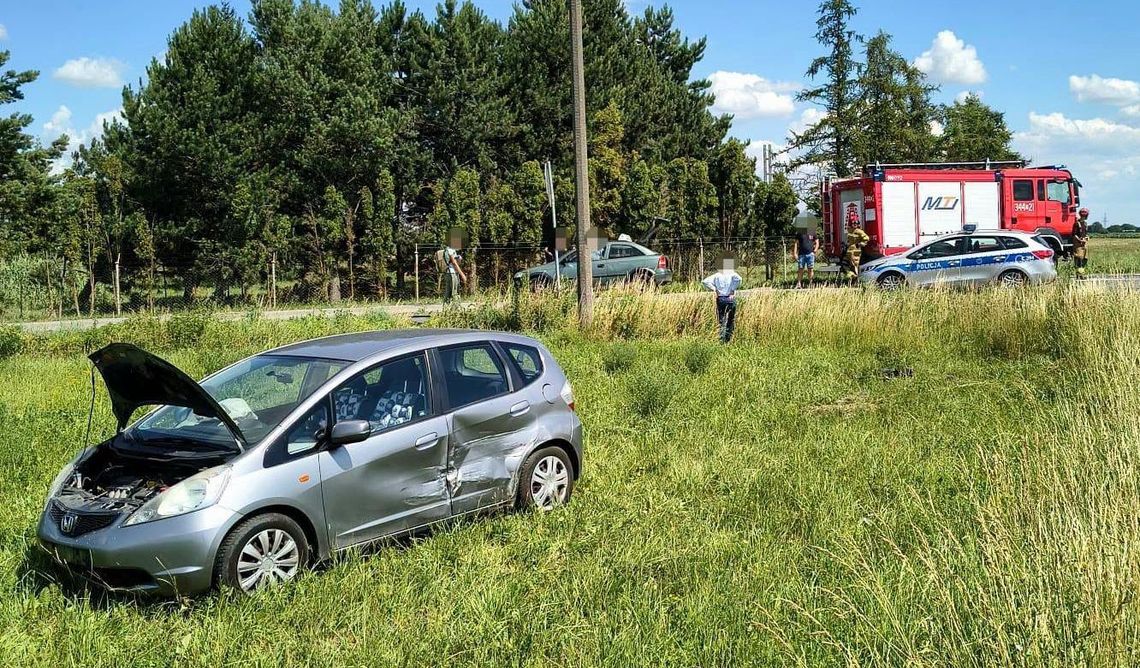 Pożary, nawałnice i groźne owady: Raport z działań strażaków w powiecie gryfińskim