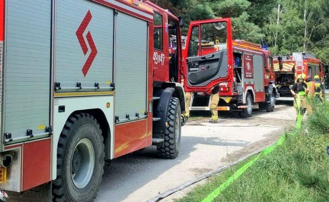 Pożary pól, wypadki i owady w szkołach. Gorący tydzień strażaków w powiecie gryfińskim Pożary pól, wypadki i owady w szkołach. Gorący tydzień strażaków w powiecie gryfińskim