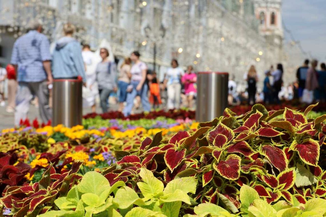 Prognoza pogody na najbliższe dni i Wielkanoc Prognoza pogody na najbliższe dni i Wielkanoc