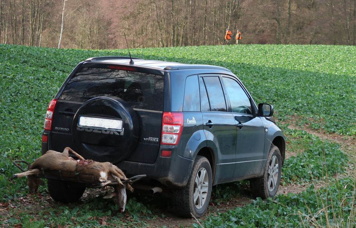 Prokuratura zajmie się postrzeleniem myśliwego Prokuratura zajmie się postrzeleniem myśliwego