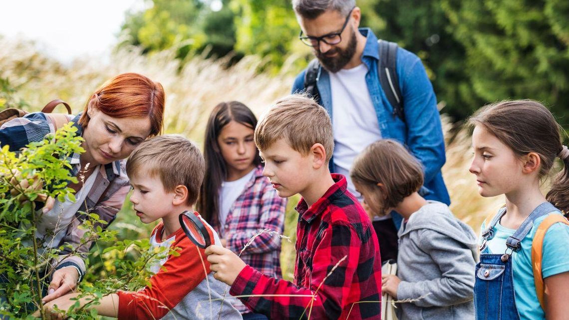 Zamieszanie w szkołach dotyczą wycieczek. Idą zmiany dotyczące prawo Kamilka