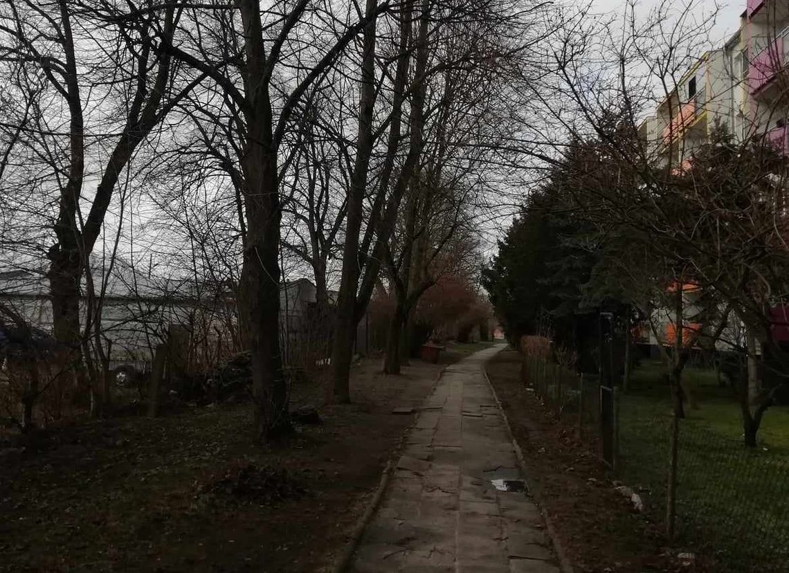 Protest przeciwko wycince drzew w Gryfinie Protest przeciwko wycince drzew w Gryfinie