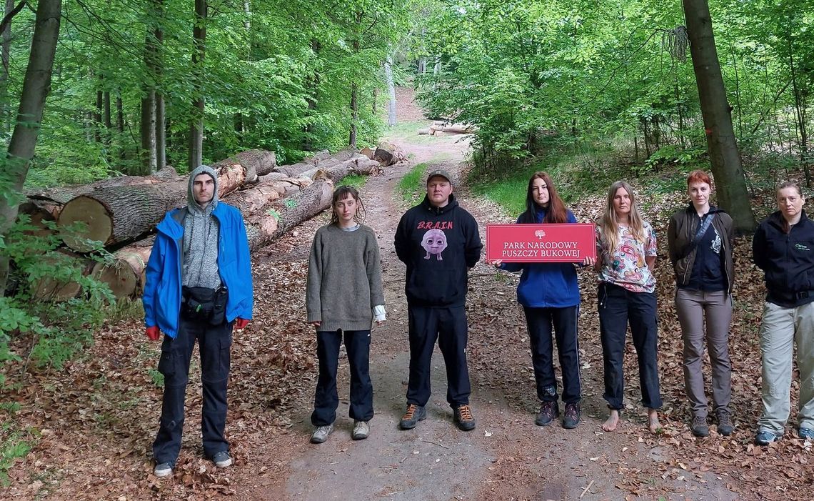 Protestują przeciwko wycince drzew w Nadleśnictwie Gryfino Protestują przeciwko wycince drzew w Nadleśnictwie Gryfino