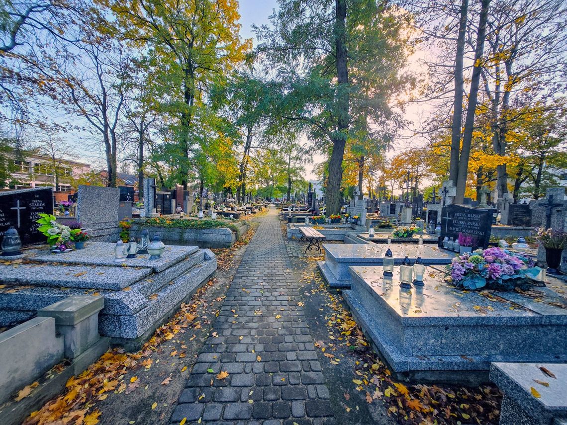 Jedzenie zamiast zniczy i dawne Dziady. Poznaj historię i aktualne koszty Wszystkich Świętych Jedzenie zamiast zniczy i dawne Dziady. Poznaj historię i aktualne koszty Wszystkich Świętych