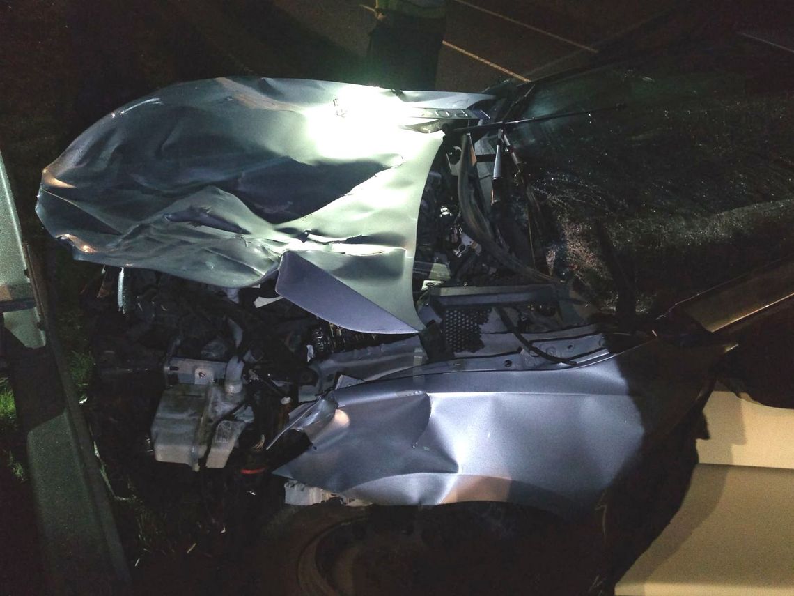  Przed maską pojawił się jeleń. Nie miał szans