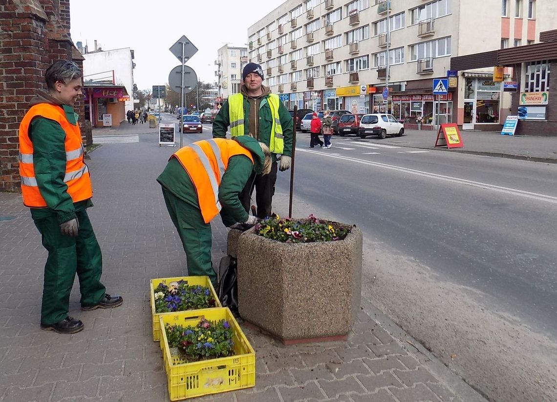 Przedświąteczne porządki także na ulicach Przedświąteczne porządki także na ulicach