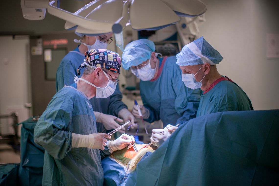 Przełomowa operacja przeszczepienia nerek Przełomowa operacja przeszczepienia nerek