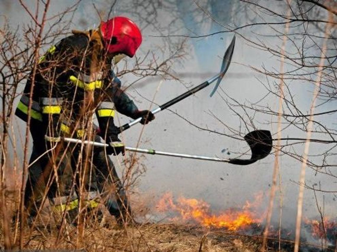 Przerażający raport strażaków