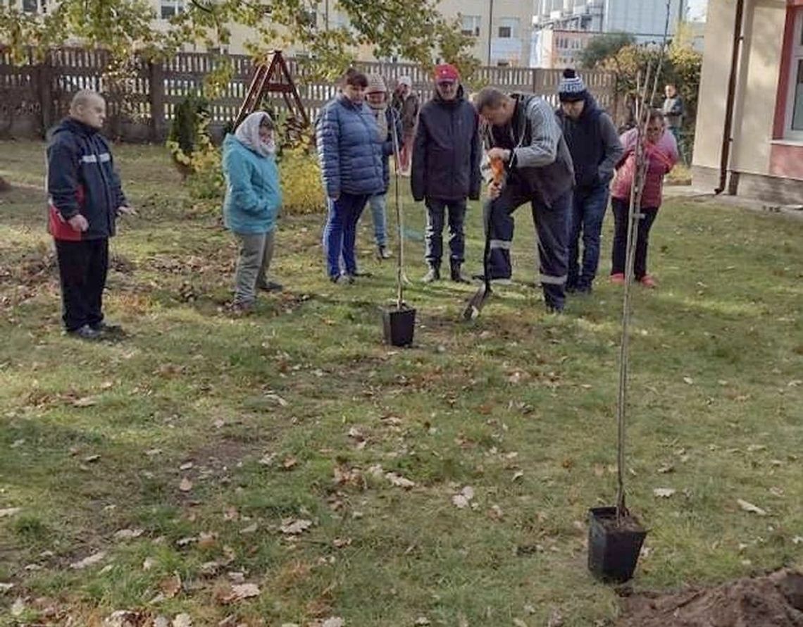 "Przerwa na owoc" w Nadleśnictwie Gryfino. Będą zakładać minisady owocowe