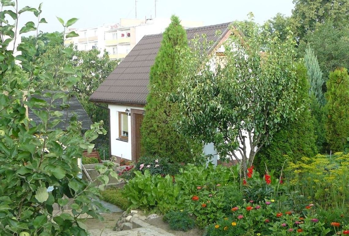 Przestępczość na terenie ogródków działkowych