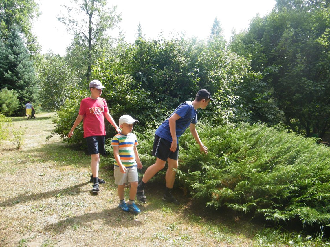 Przeszukiwali 2 hektary w poszukiwaniu skarbów Przeszukiwali 2 hektary w poszukiwaniu skarbów