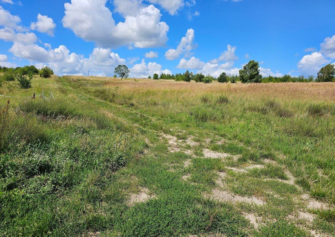 Przetargi, przetargi i co z nich wynika? Przetargi, przetargi i co z nich wynika?