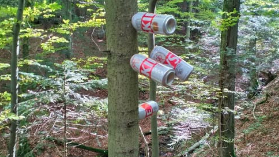 Idą na grzyby, a głównie imprezują. Śmieci w lesie Idą na grzyby, a głównie imprezują. Śmieci w lesie