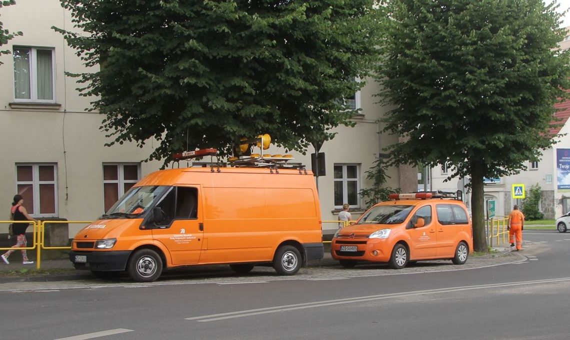 Przycinali gałęzie, ale nie wszędzie